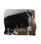アンディと一緒（個別スタンプ：15）
