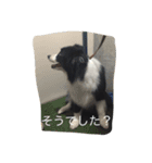 アンディと一緒（個別スタンプ：16）
