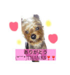 テリア、れおん（個別スタンプ：8）