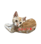 きなおの日常（個別スタンプ：11）