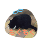ほっこりクロちゃん（個別スタンプ：3）