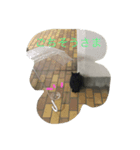 ほっこりクロちゃん（個別スタンプ：4）
