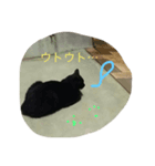 ほっこりクロちゃん（個別スタンプ：7）