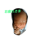 翼のスタンプ2（個別スタンプ：10）