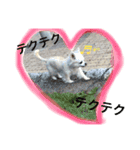 日常のショコラ（個別スタンプ：11）