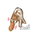 わんぱく犬あんずちゃん（個別スタンプ：3）