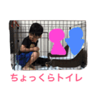 たいよう（個別スタンプ：3）