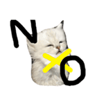うちの子、猫の子。（個別スタンプ：25）