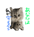 うちの子、猫の子。（個別スタンプ：27）