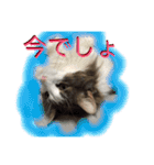 まゆきき（個別スタンプ：14）