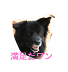 くー＆雫（個別スタンプ：1）