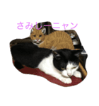 くー＆雫（個別スタンプ：2）