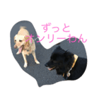 くー＆雫（個別スタンプ：3）