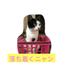 くー＆雫（個別スタンプ：5）