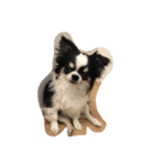 犬と猫たち（個別スタンプ：8）