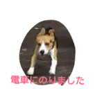 kevicharlo（個別スタンプ：2）