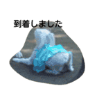 kevicharlo（個別スタンプ：3）