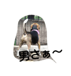 kevicharlo（個別スタンプ：6）