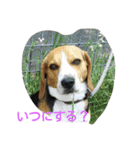 kevicharlo（個別スタンプ：8）