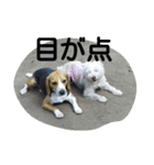 kevicharlo（個別スタンプ：13）