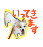 使いやすい一言（個別スタンプ：2）