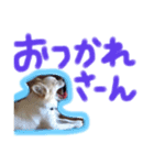使いやすい一言（個別スタンプ：3）