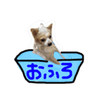 使いやすい一言（個別スタンプ：4）