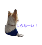 使いやすい一言（個別スタンプ：5）