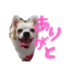 使いやすい一言（個別スタンプ：6）