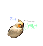 chill out（個別スタンプ：3）