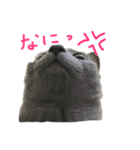 今日のりんごちゃん（個別スタンプ：3）