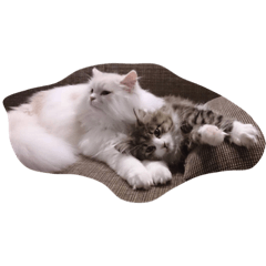 [LINEスタンプ] 吟と梅