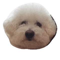 [LINEスタンプ] ほっぺとりぼん