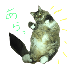 [LINEスタンプ] l am happy