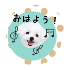 [LINEスタンプ] ポメラニアン桃とマルチーズ苺2