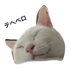 [LINEスタンプ] チェイとニゥン (ニゥン多め)2