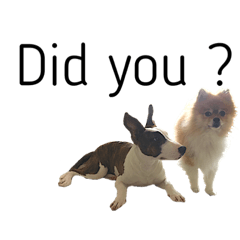 [LINEスタンプ] ゴン と ネネ 2