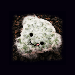 [LINEスタンプ] Emotion Cactus