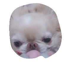 [LINEスタンプ] 風