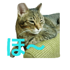 [LINEスタンプ] ロビちゃんず:D