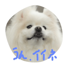 [LINEスタンプ] ゴーゴーDog