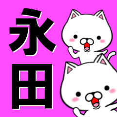 [LINEスタンプ] 超★永田(ながた・ナガタ)なネコ