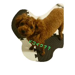 [LINEスタンプ] ノノコまん