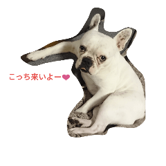 [LINEスタンプ] フレブル風助スタンプ2