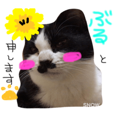 [LINEスタンプ] あいどる♡ぶるたん