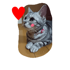 [LINEスタンプ] まいたん2