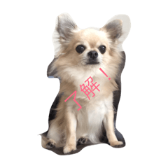 [LINEスタンプ] こうめちゃん