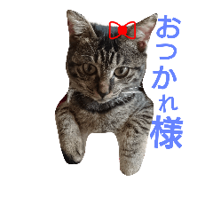 [LINEスタンプ] アリザの日常。