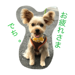 [LINEスタンプ] もぐもぐでち。2