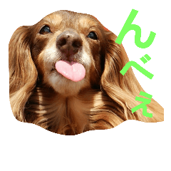 [LINEスタンプ] ひよりすたんぷ